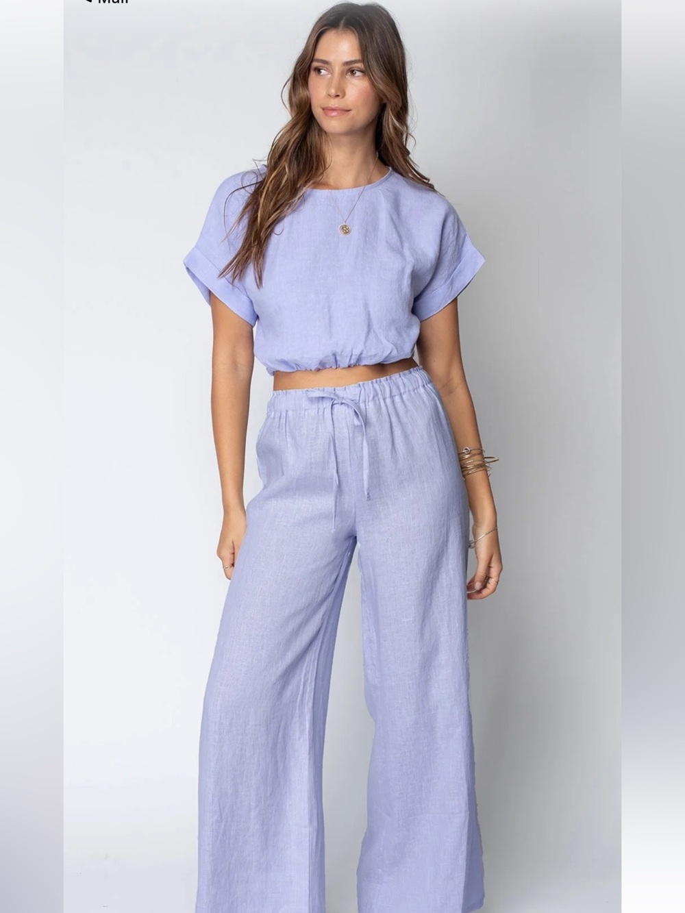 Stillwater The Linen Venice Wide Leg Pant NWT
